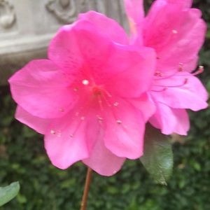 Meet your Posher, Adam