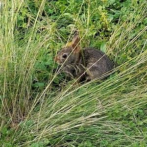 Meet your Posher, Anel