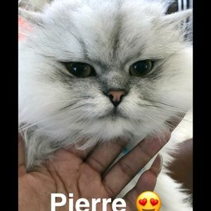 Meet your Posher, Hannah