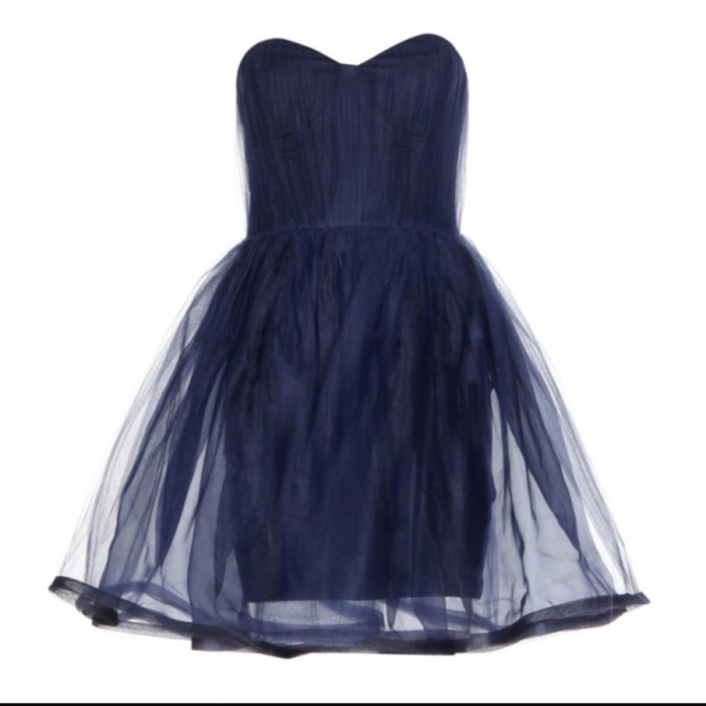 Alice and Olivia Tulle Dress