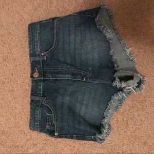 BDG Super High Rise Dolphin