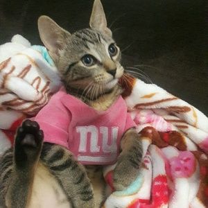 Meet your Posher, Martha