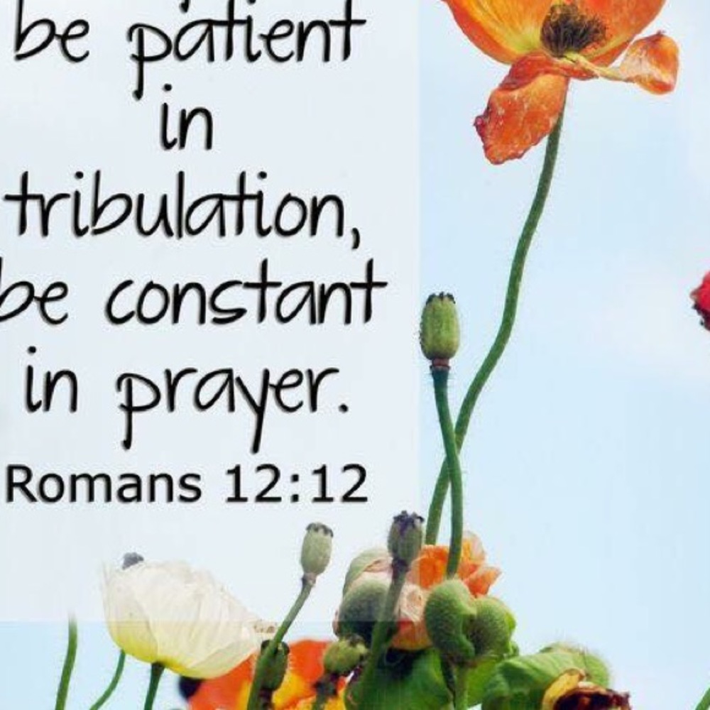 Meet your Posher, Tracey