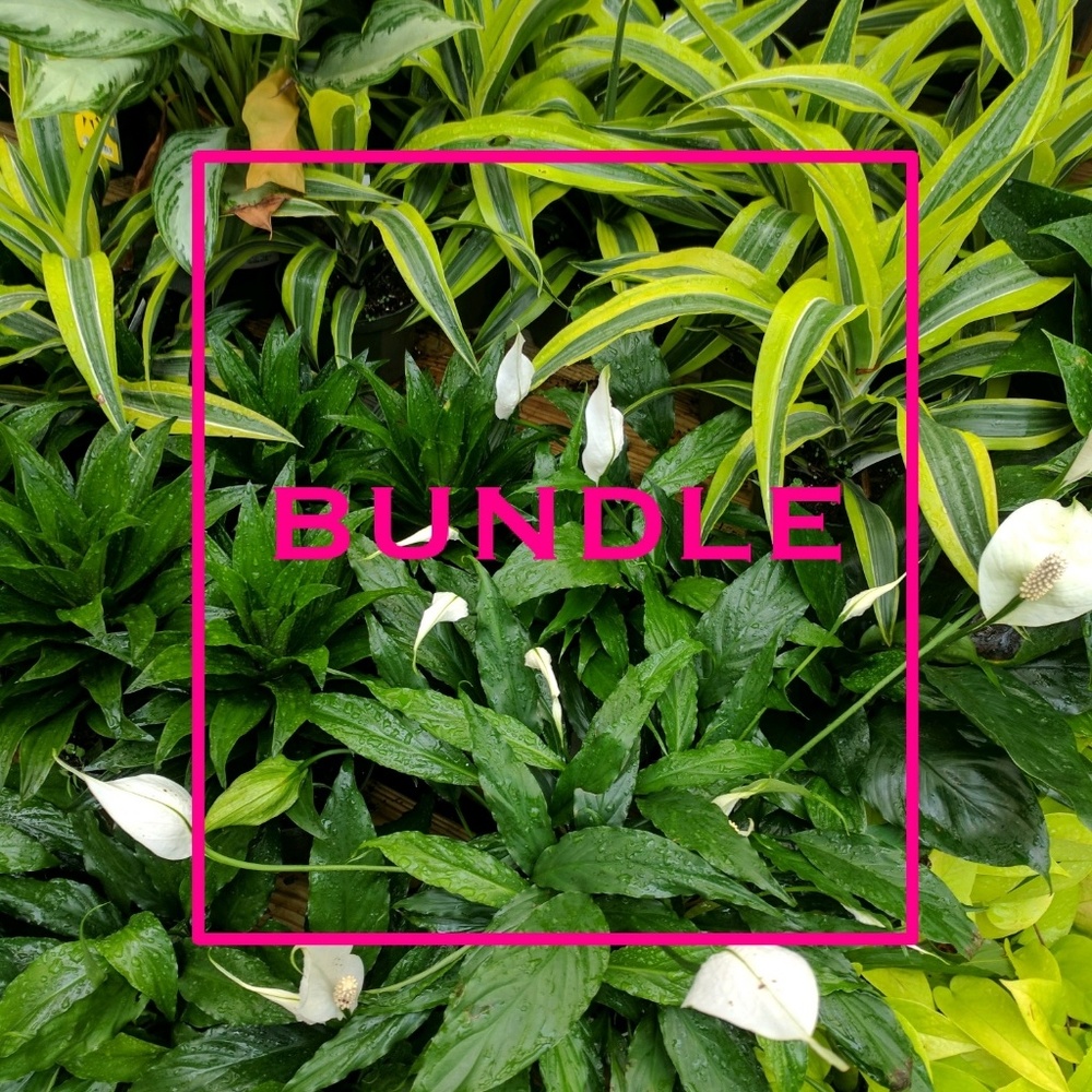 Accepting all Reasonable Offers!