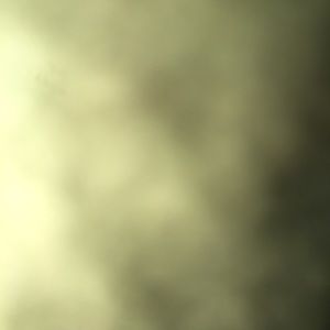 Meet your Posher, Greyson