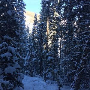 Meet your Posher, Penny