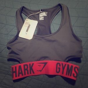 Gymshark Fit Sports Bra Charcoal/Cranberry XS NWTS