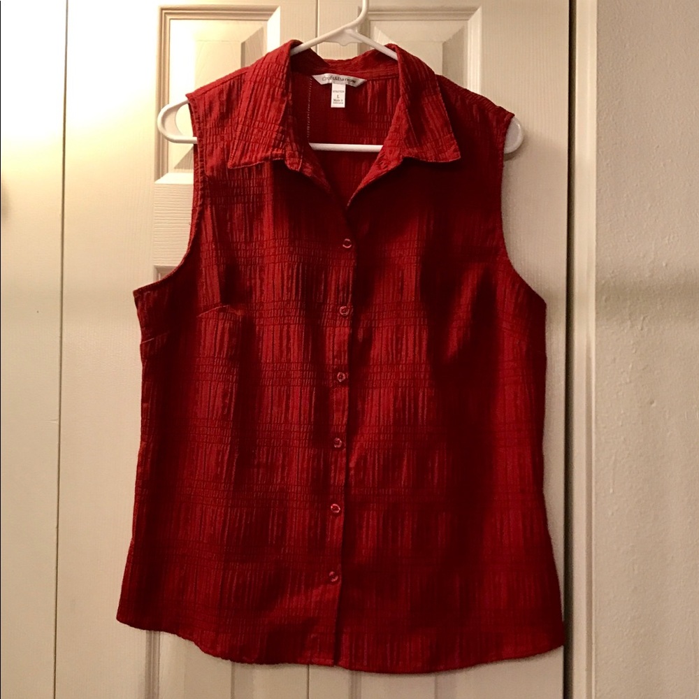[Large] EUC Croft & Barrow Sleeveless Blouse