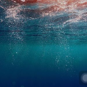 Meet your Posher, Tyra