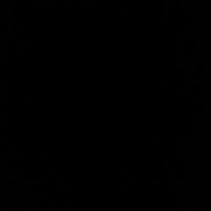 Meet your Posher, Luis