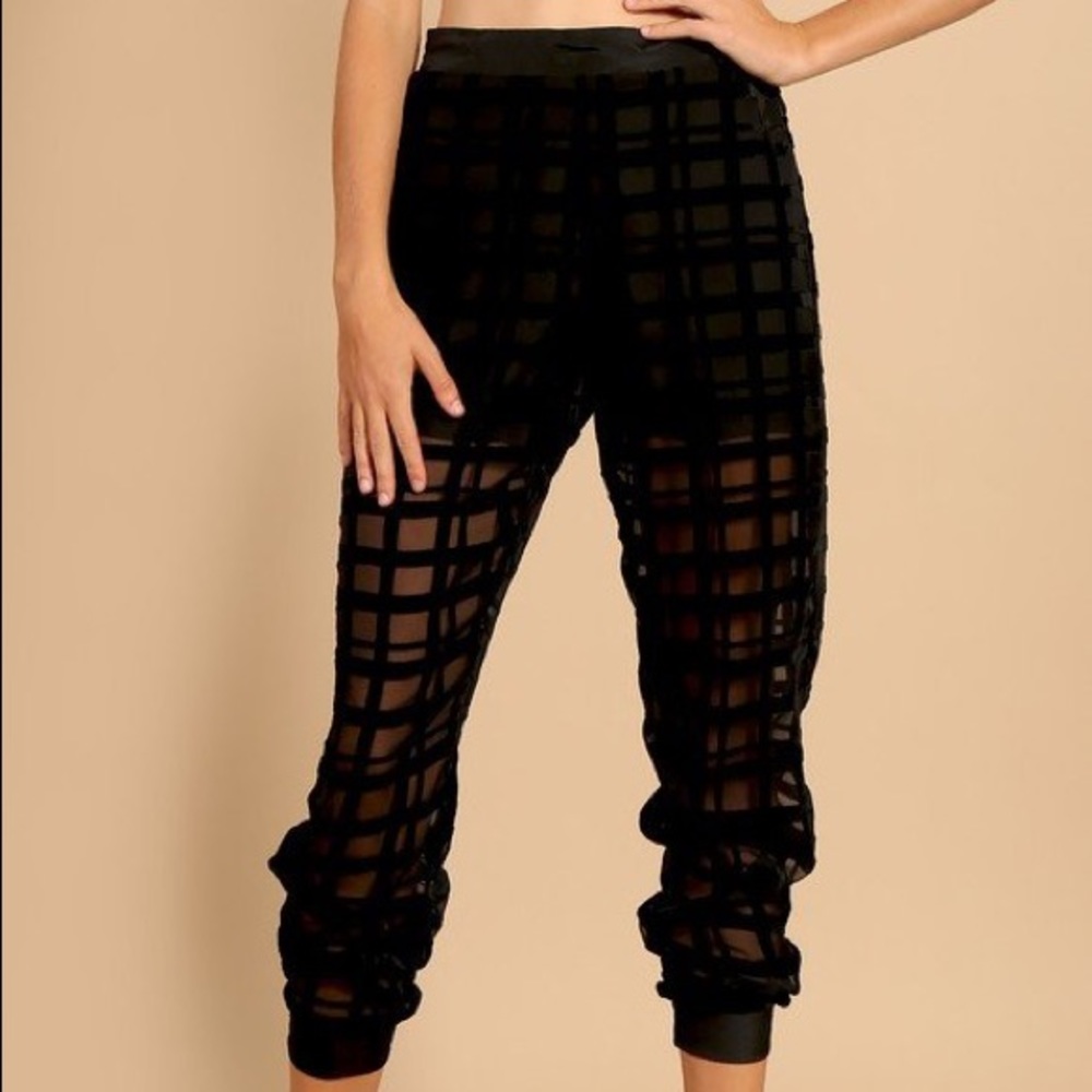 Sheer Capri pant