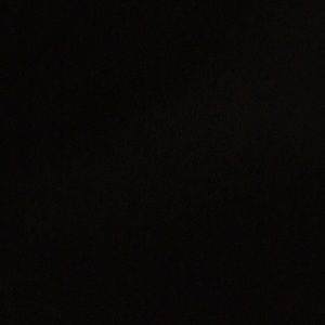 Meet your Posher, Paige