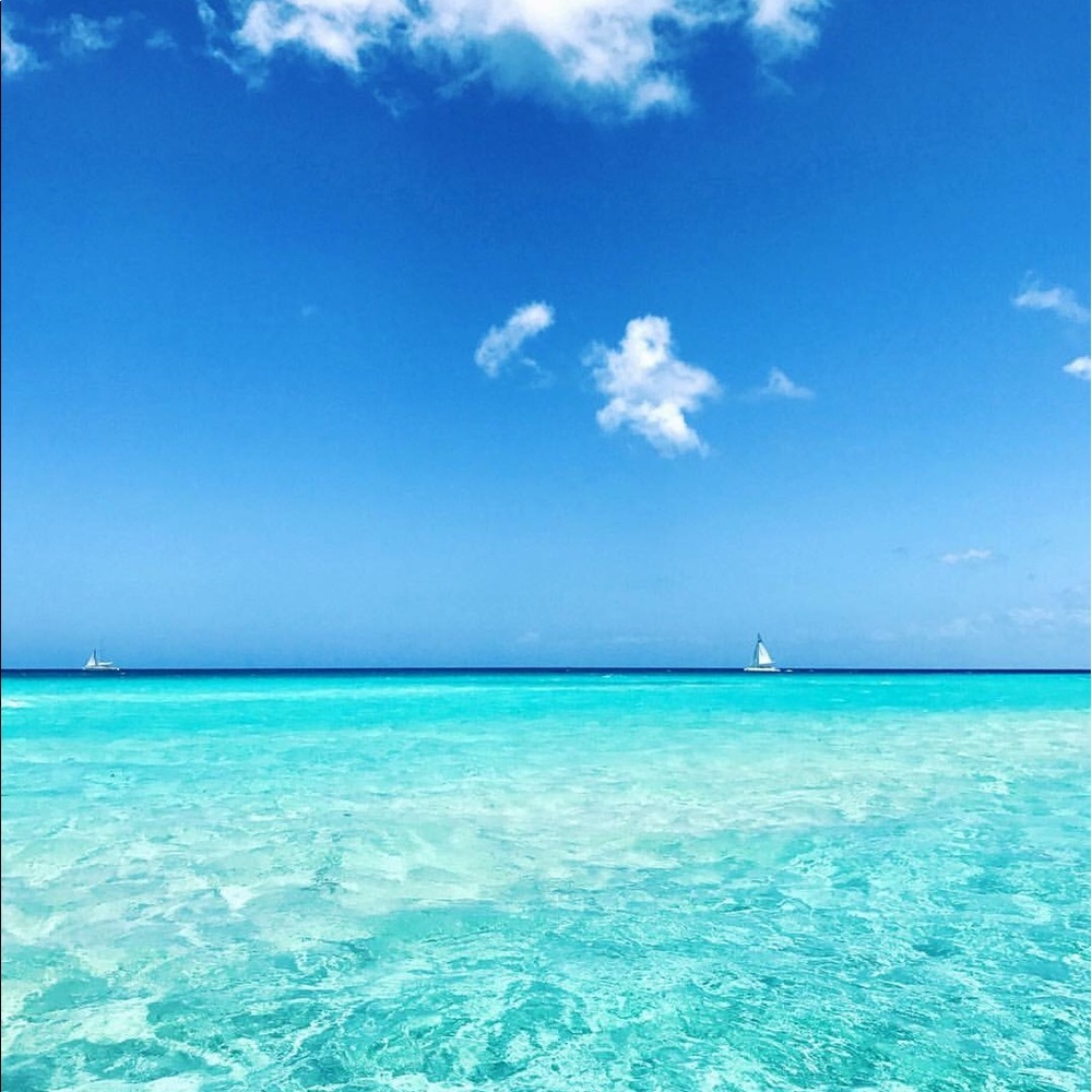 Meet your Posher, Leticia