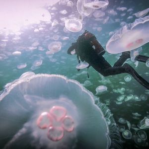 Meet your Posher, Bio