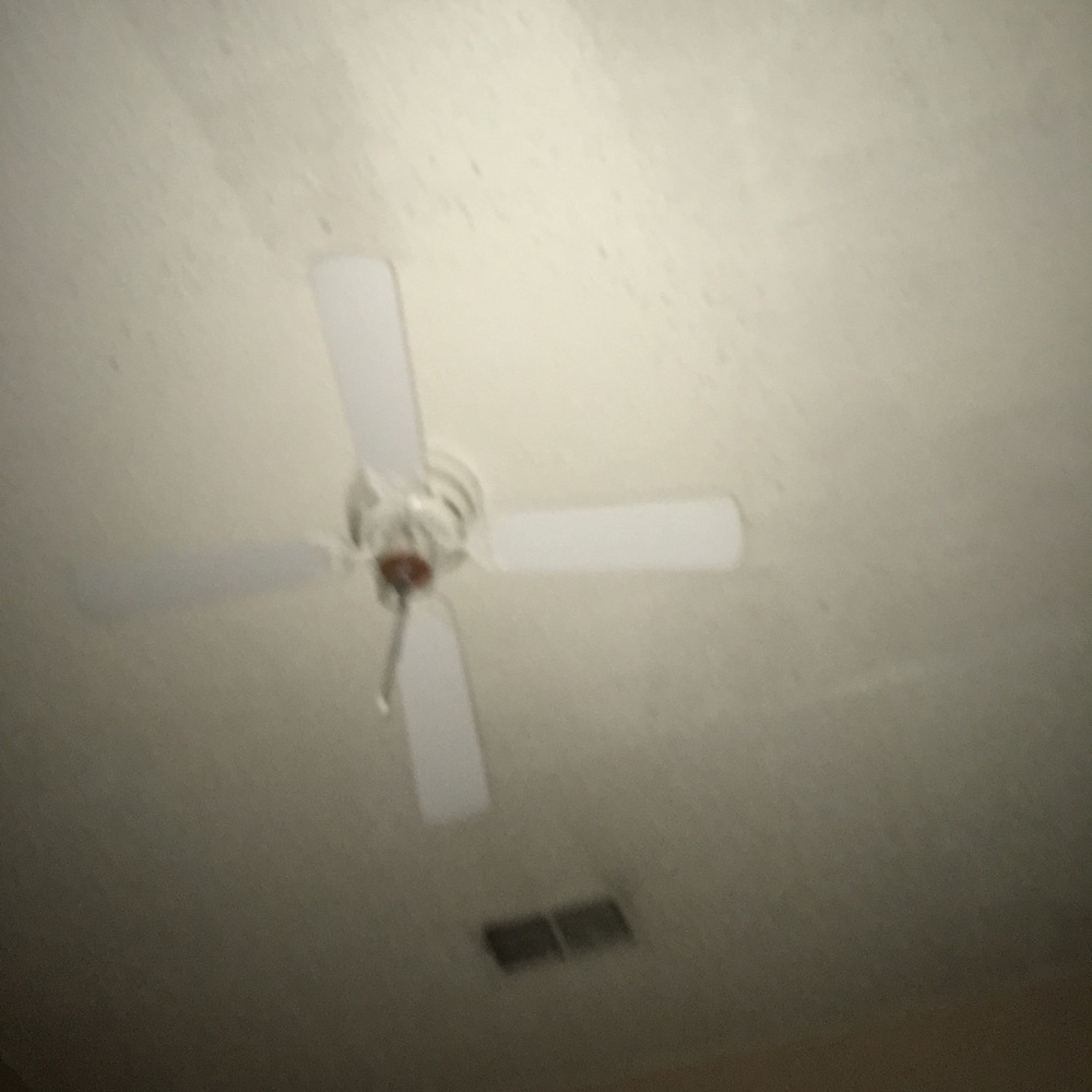 Meet your Posher, Evette