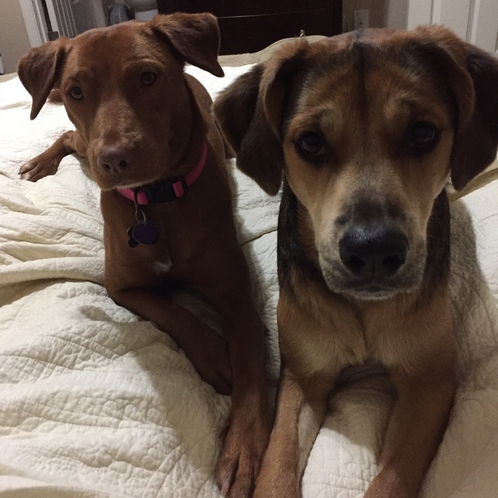 Meet your Posher, Nicole