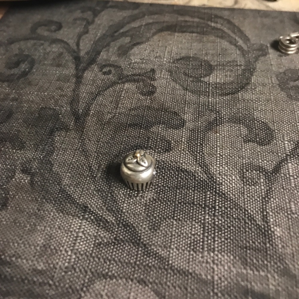 PANDORA - Picture 5 of 6