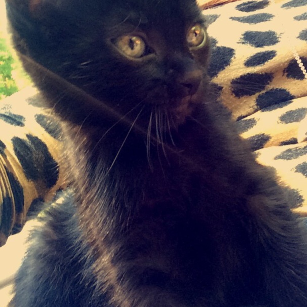 Meet your Posher, Sandy