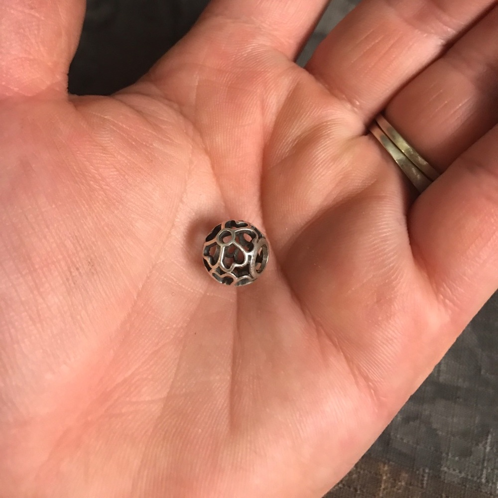 PANDORA - Picture 2 of 4