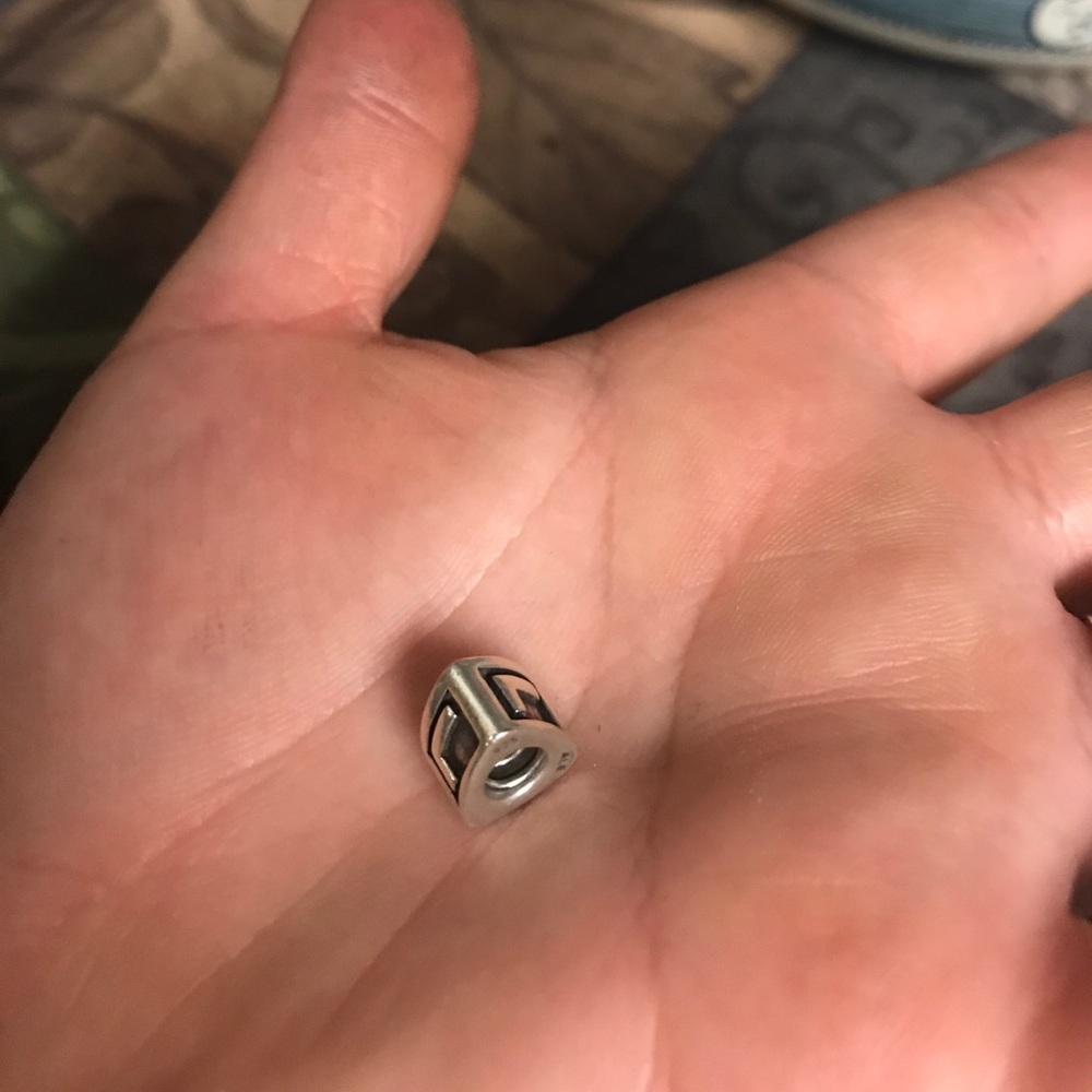 PANDORA - Picture 5 of 5