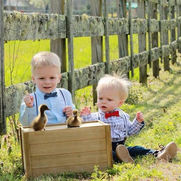 Meet your Posher, Monica - Picture 1 of 1