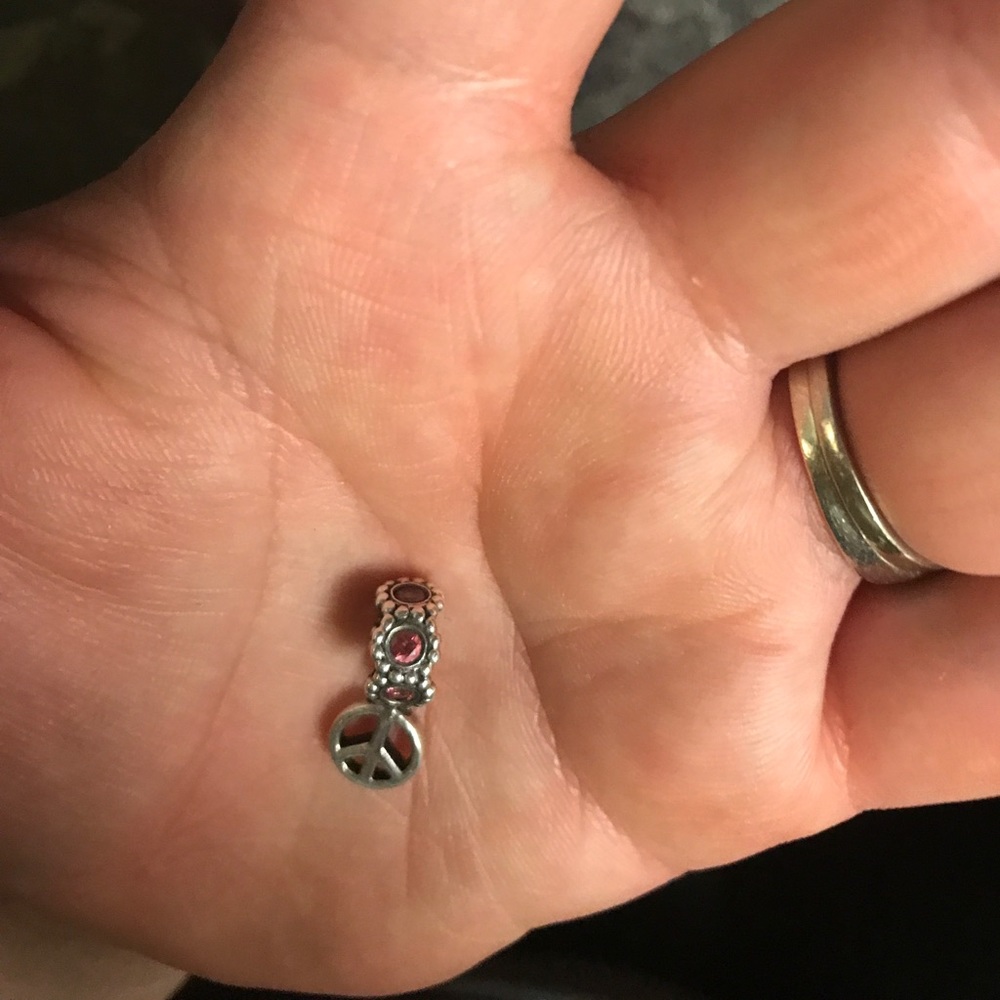 PANDORA - Picture 2 of 5