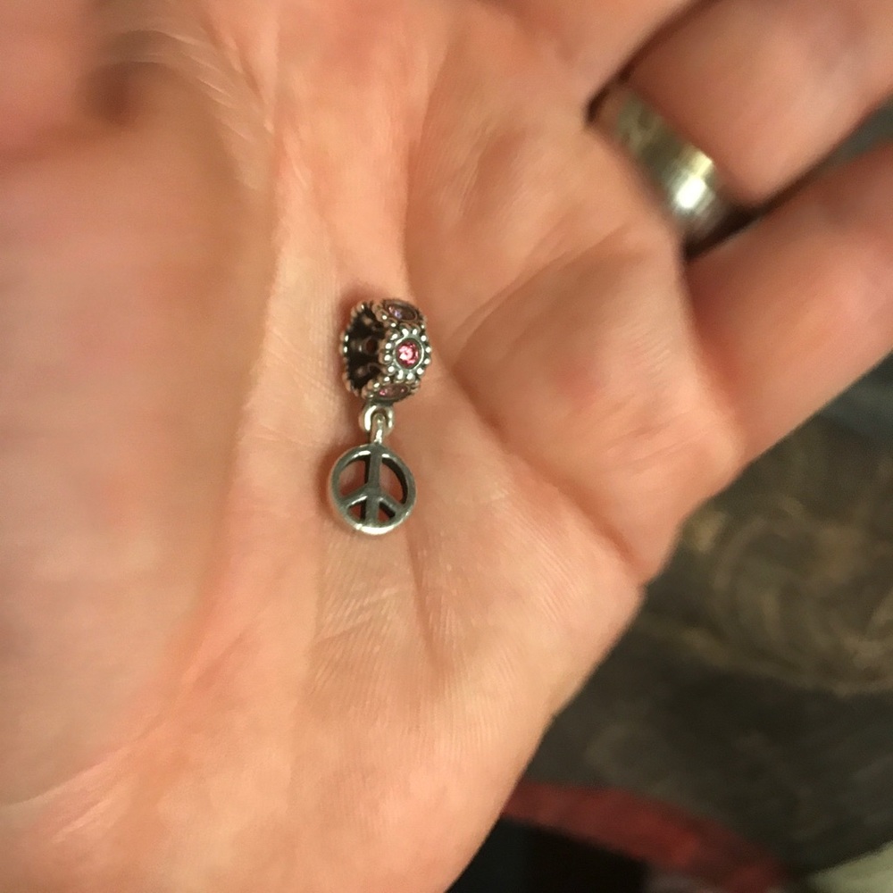 PANDORA - Picture 3 of 5