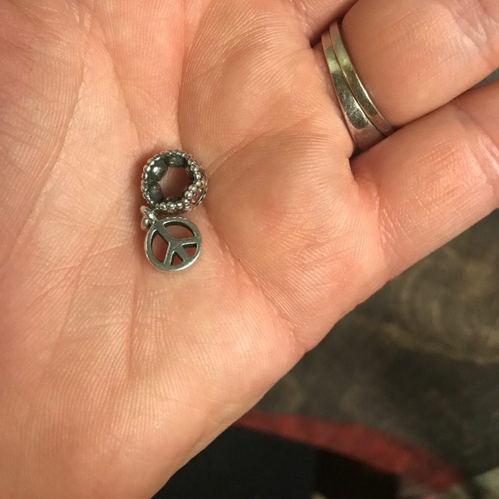 PANDORA - Picture 4 of 5