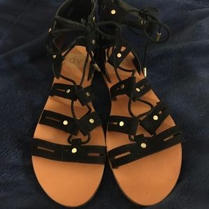 ⚫️ Black Gladiators ⚫️