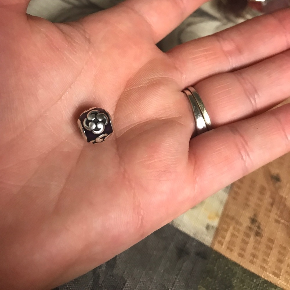 PANDORA - Picture 2 of 5