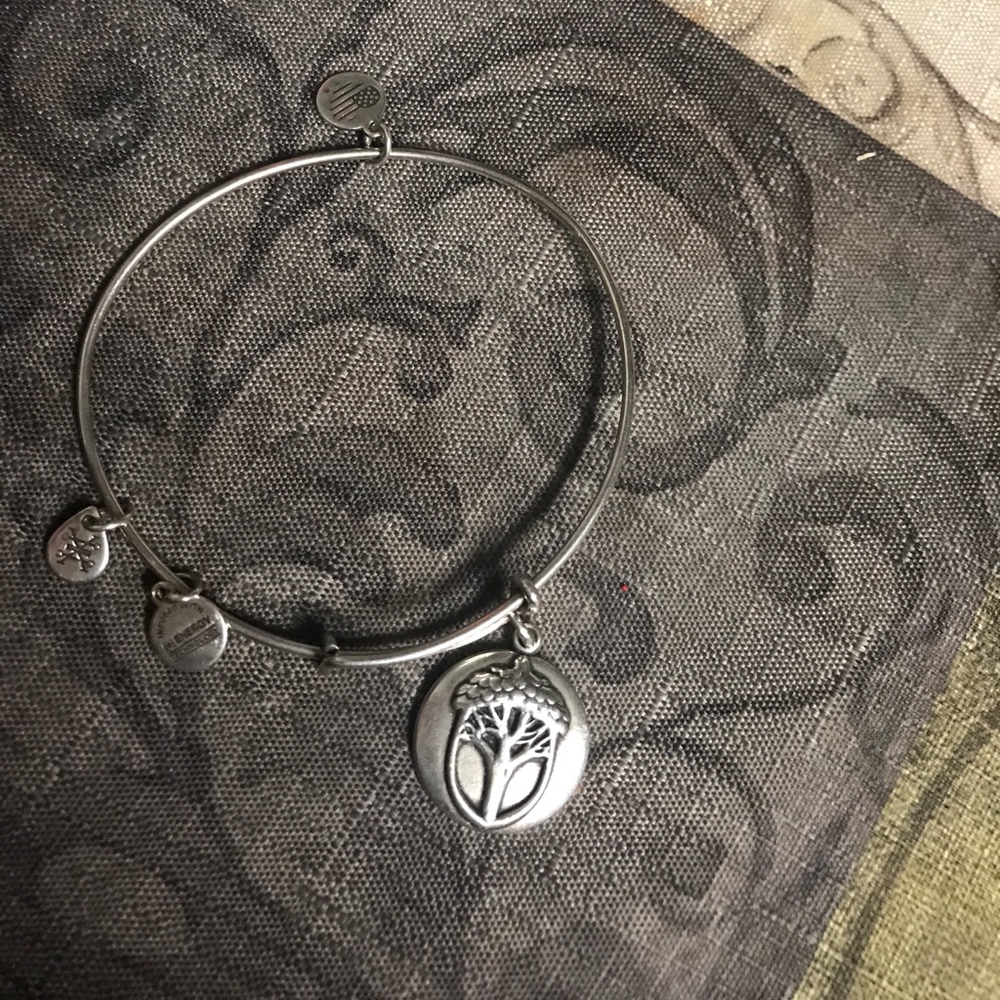 ALEX and ANI