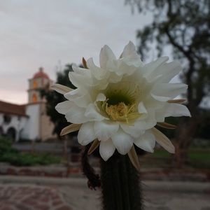 Meet your Posher, Yesenia