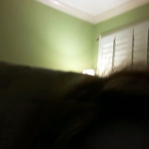 Meet your Posher, Patricia