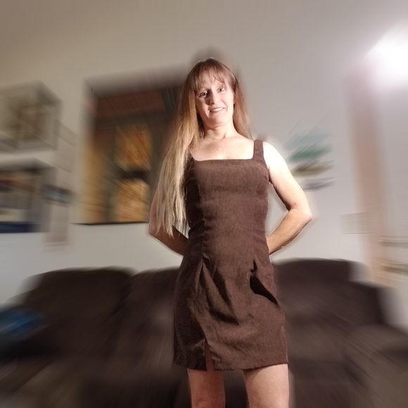  Velvet Brown Dress - Picture 3 of 5