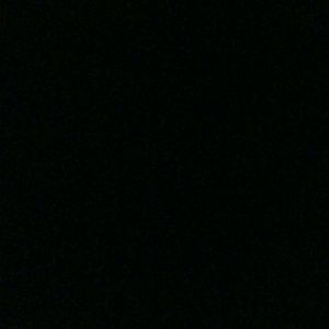 Meet your Posher, Trevor