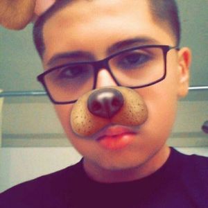 Meet your Posher, Ernesto