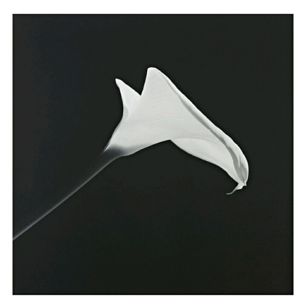 Meet your Posher, Alice