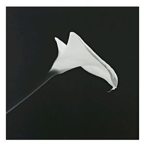 Meet your Posher, Alice