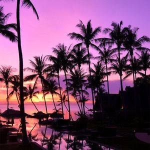 Meet your Posher, Savanna