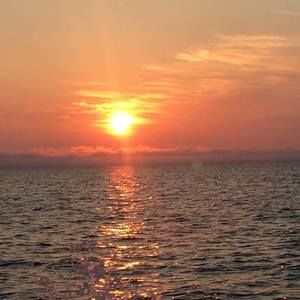 Meet your Posher, Chuckie