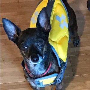 Meet your Posher, Melanie