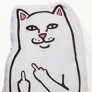 Meet your Posher, Marcus