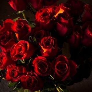 Meet your Posher, Diamond