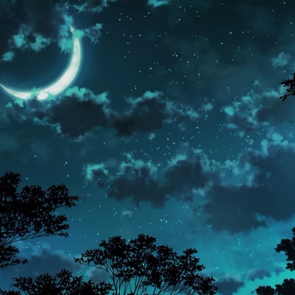 Meet your Posher, Natalie - Picture 1 of 1