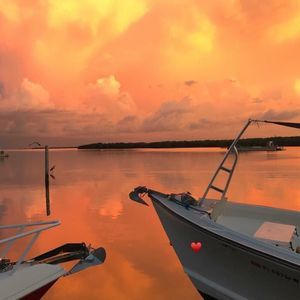 Meet your Posher, Ann