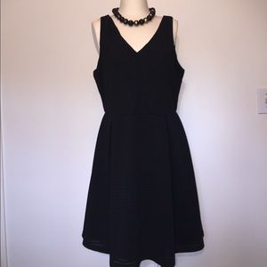 LAST CHANCE Attention LBD
