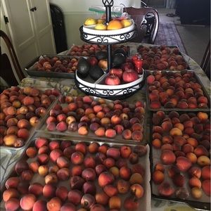 Meet your Posher, Tracy