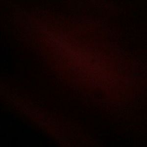 Meet your Posher, Billy