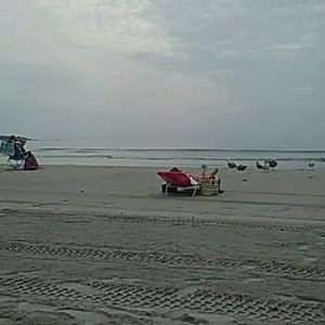 Meet your Posher, Paula