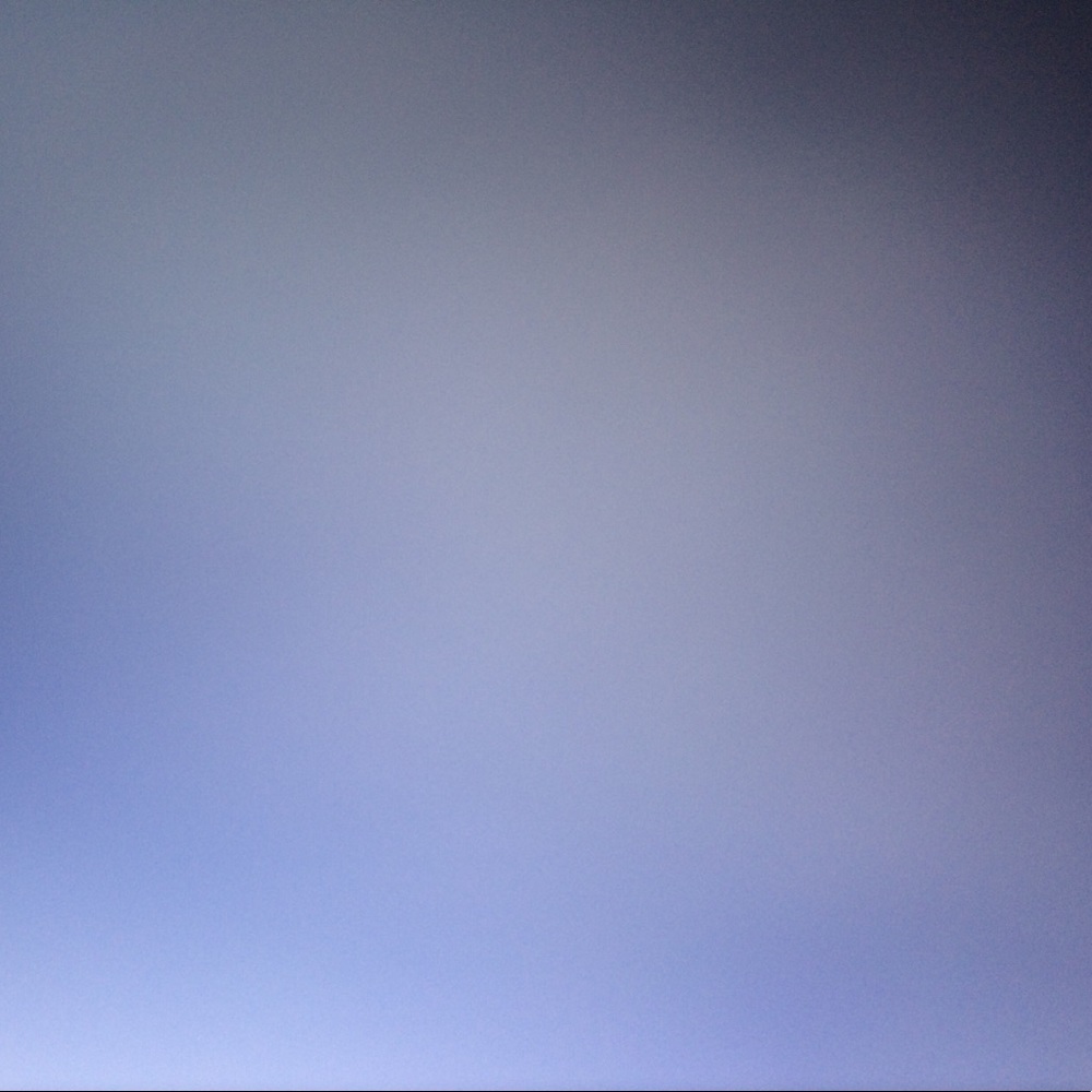 Meet your Posher, Moni